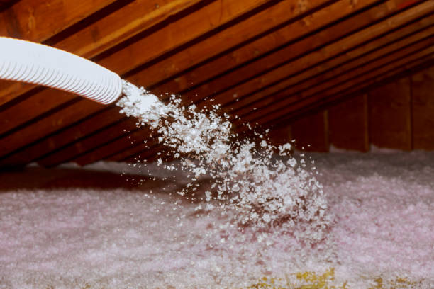 Best Geographic-Specific Insulation Services in Inman, SC