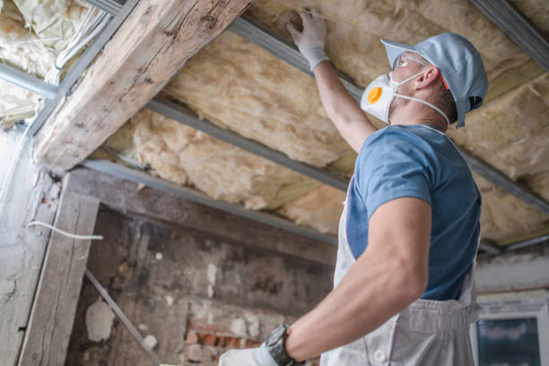 Best DIY Insulation Kits and Guidance in Inman, SC